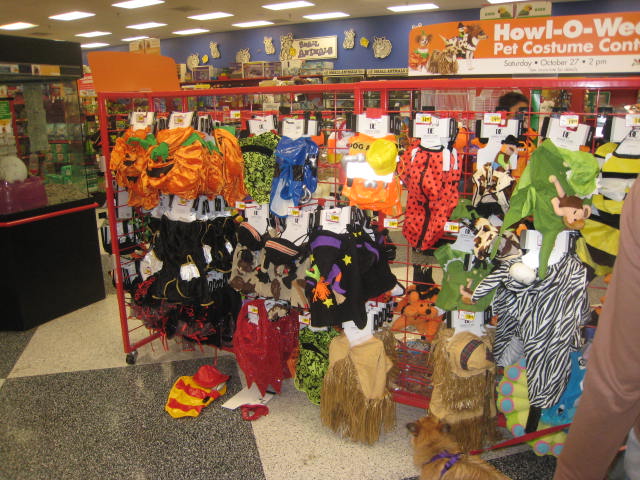 Disfraces de Halloween para mascotas