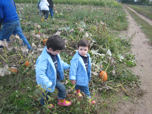 Lola y Sara comentando lo dificil que es encontrar la perfecta calabaza