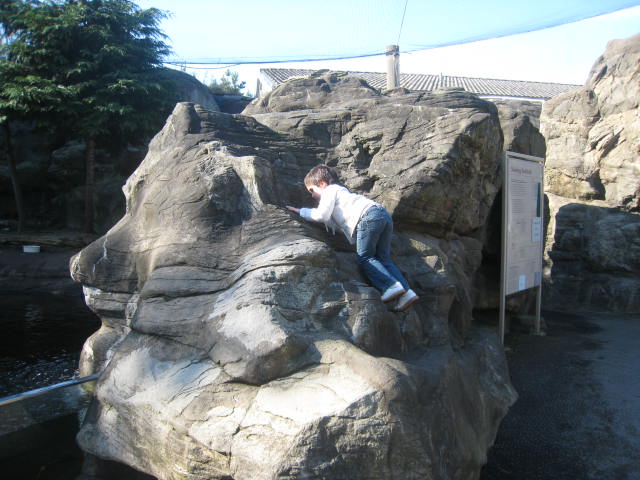 Lola ve una piedra…