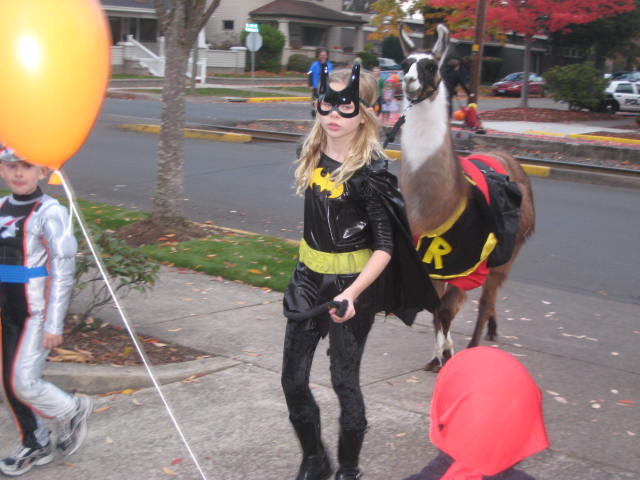 Batman y su llama “Robin” (como en la peli)