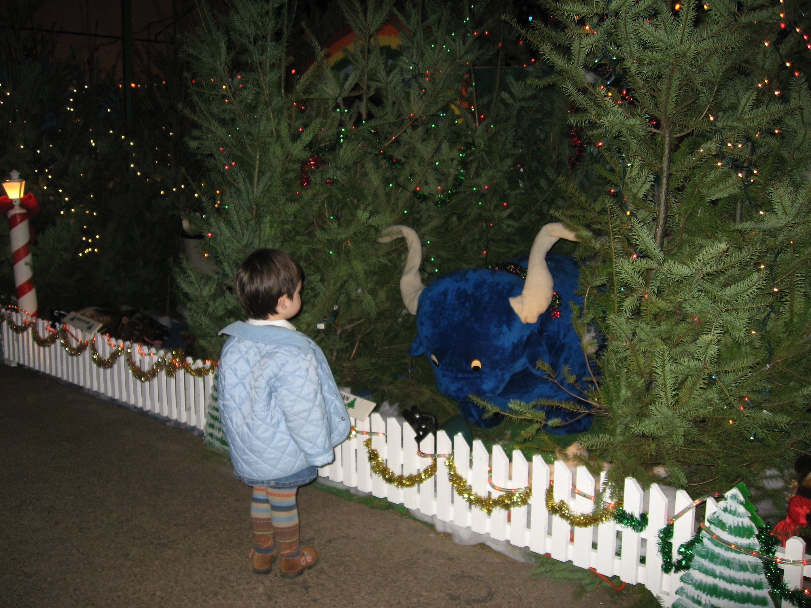 img_23761.JPG