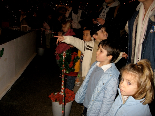 img_23841.JPG