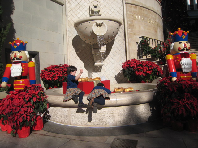 Rodeo Drive