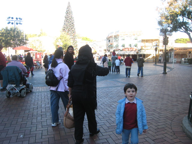 Dentro de Disneylandia