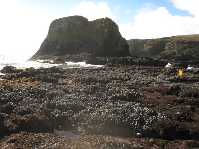 En la playa del faro de Yakina, en Newport