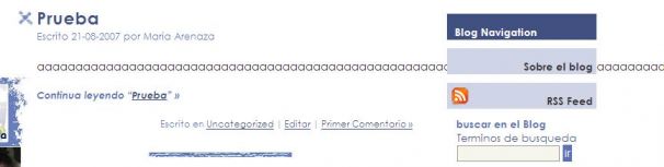 Pantallazo del blog